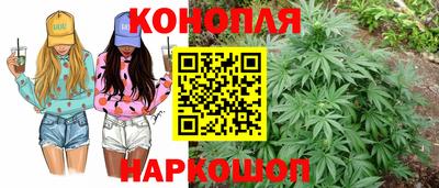 прущие грибы Берёзовский